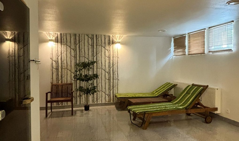 Prodej bytu 1+kk 28 m², Dolní Morava – náhled fotky 11