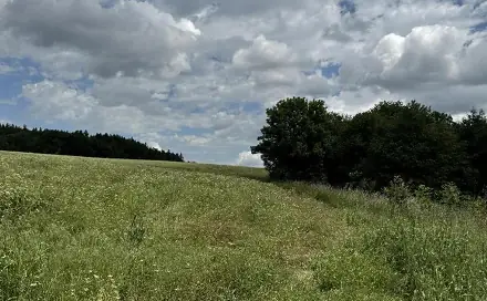 Prodej pole 4 916 m², Lipová - Benešov nad Ploučnicí