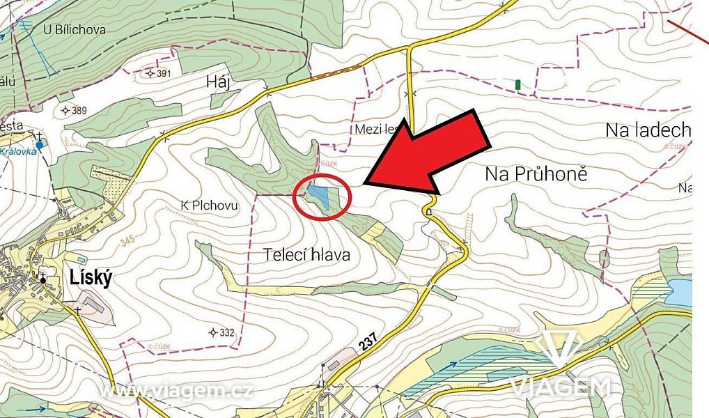 Prodej lesa 2 404 m², Pozdeň – náhled fotky 3