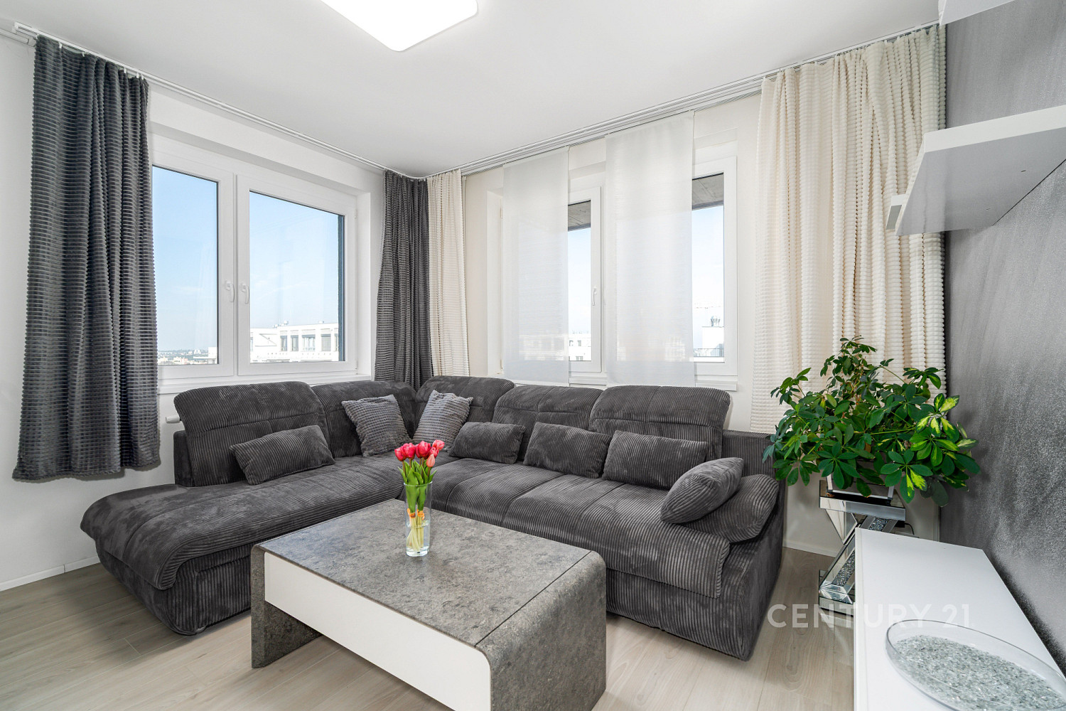 Prodej bytu 2+kk 81 m² – fotografie 3