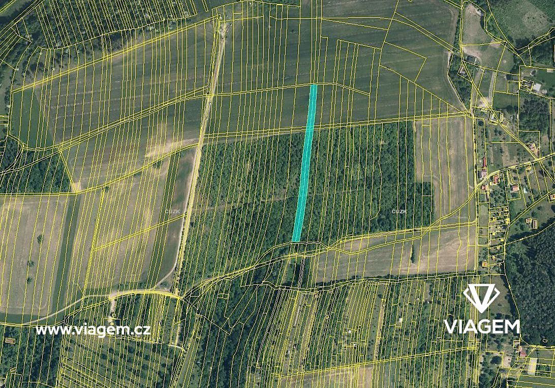 Prodej pole 1 834 m² – fotografie 2