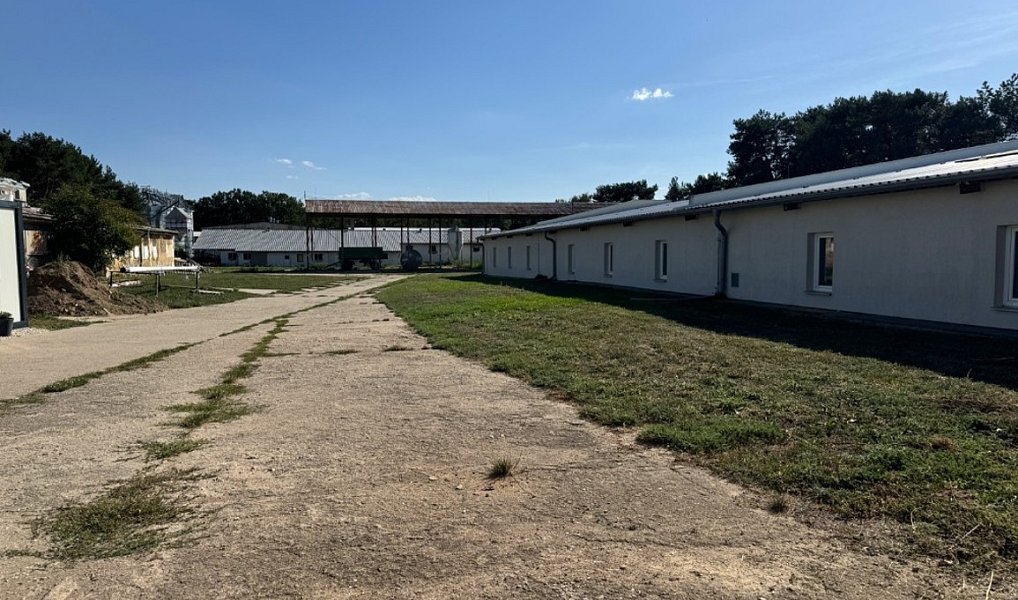 Prodej výrobních prostor 297 m², Svatobořice-Mistřín – náhled fotky 5