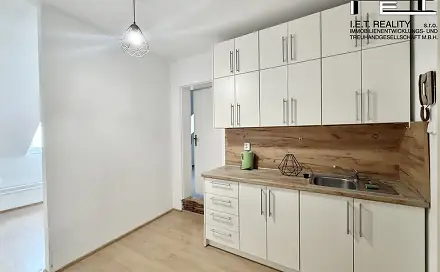 Pronájem bytu 1+1 39 m²