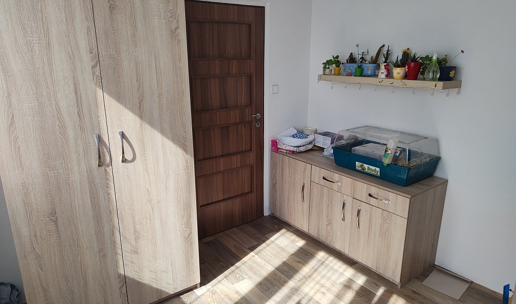 Pronájem bytu 3+1 67 m², Planá – náhled fotky 16