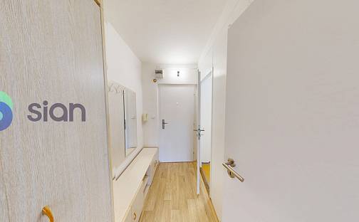 Pronájem bytu 1+kk 28 m², Čujkovova, Ostrava - Zábřeh