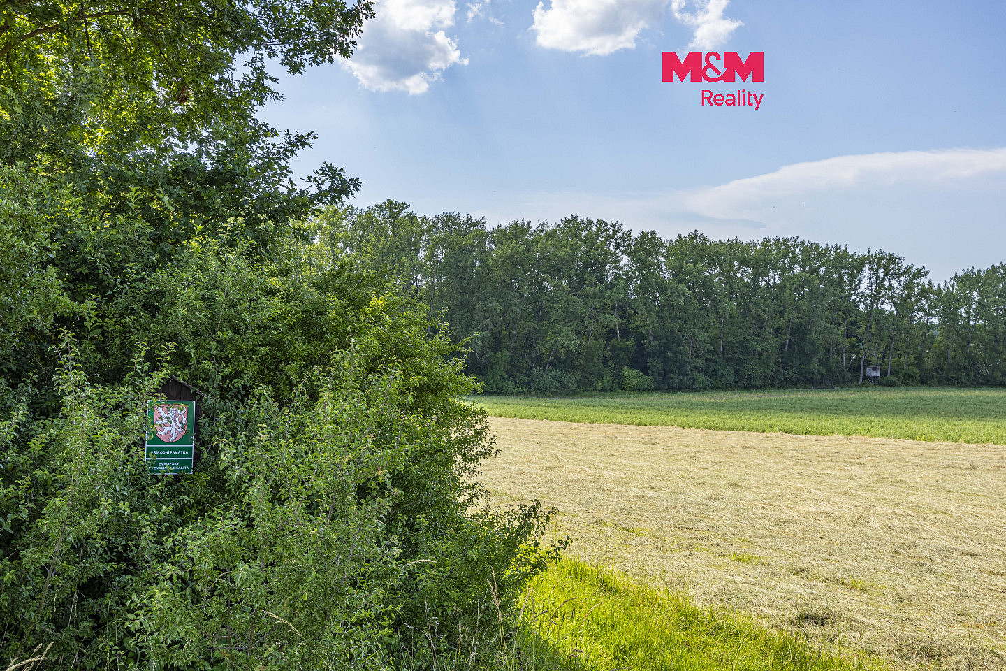 Prodej lesa 11 971 m²