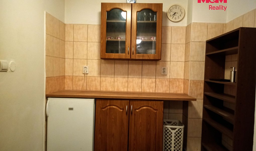 Pronájem skladovacích prostor 50 m², České Budějovice – náhled fotky 3
