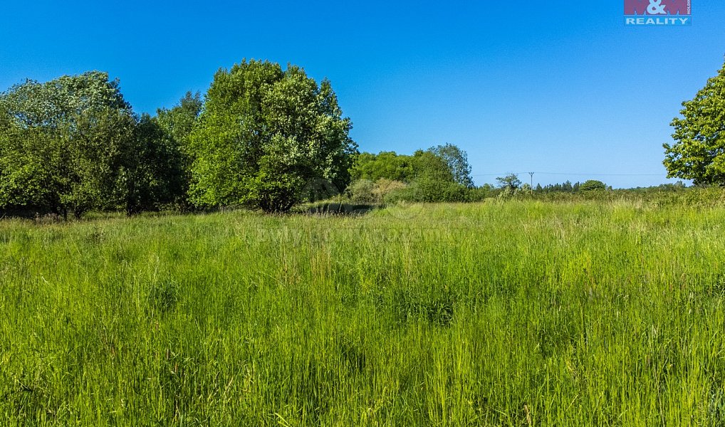 Prodej pole 124 828 m², Krásná Lípa – náhled fotky 5