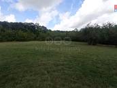 Prodej louky 12373m2