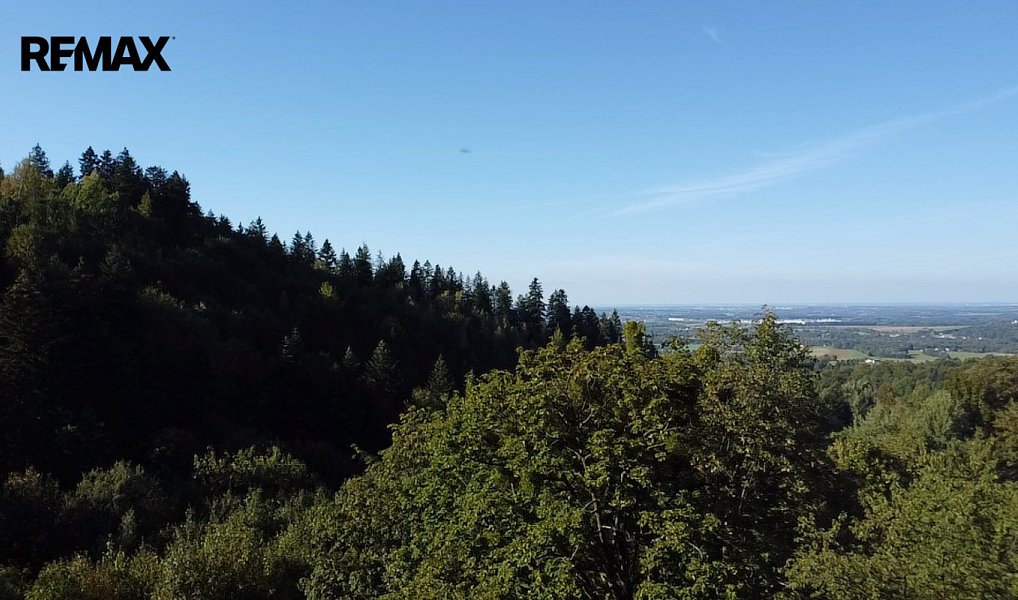 Prodej chaty/chalupy 75 m² s pozemkem 3 000 m², Krásná – náhled fotky 10