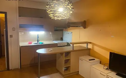 Prodej bytu 1+1 46 m², Lonkova, Pardubice - Polabiny