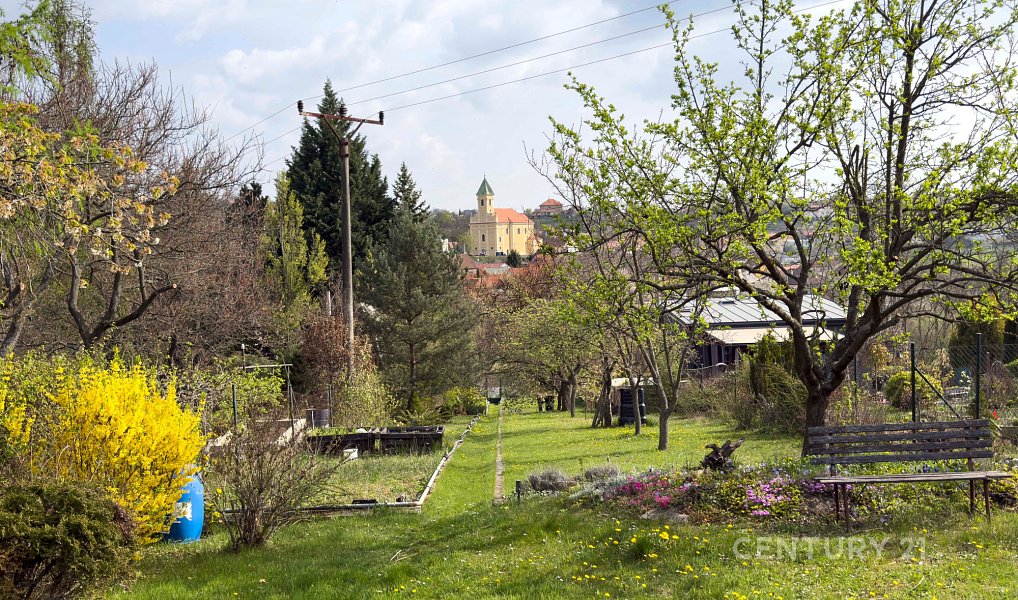 Prodej zahrady 1 157 m², Dyje – náhled fotky 11