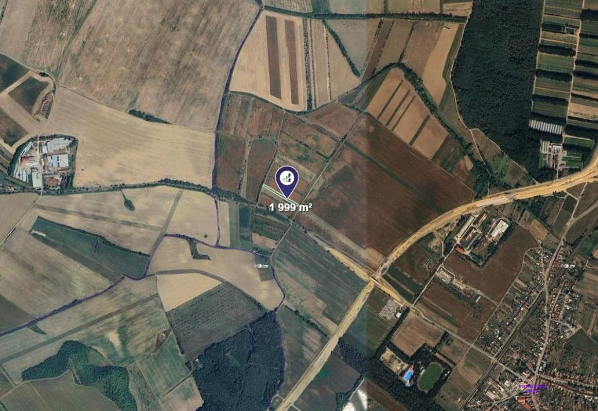 Prodej pole 1 000 m² – fotografie 2