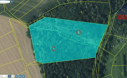 Prodej lesa 21 606 m², Kovanec, okres Mladá Boleslav