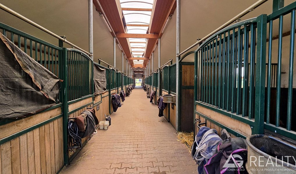 Prodej zemědělského objektu 5 128 m², Úžice – náhled fotky 2