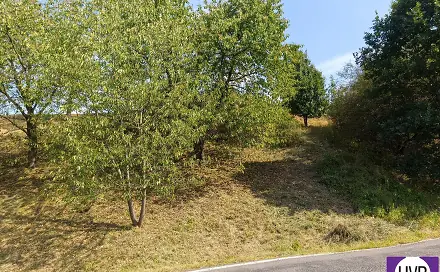 Prodej pozemku 1 229 m², Synkov-Slemeno, okres Rychnov nad Kněžnou