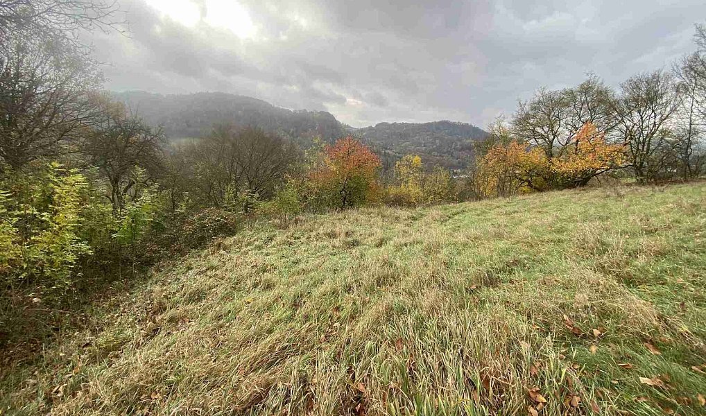 Prodej pozemku 4 431 m², Děčín – náhled fotky 3