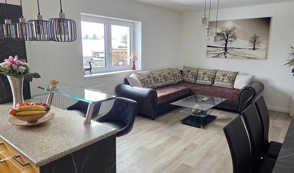 Prodej domu 300 m² s pozemkem 1 286 m², Tábor – náhled fotky 11