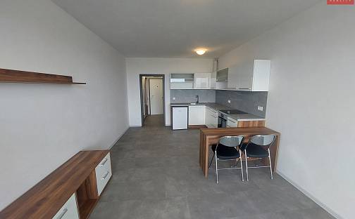 Pronájem bytu 1+kk 34 m², Aloise Rašína, Olomouc - Řepčín
