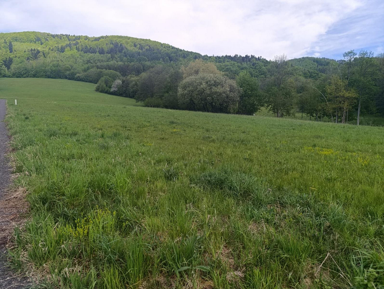 Prodej stavebního pozemku 2 292 m² – fotografie 5