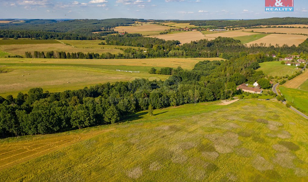 Prodej louky 6 183 m², Albrechtice nad Vltavou – náhled fotky 3