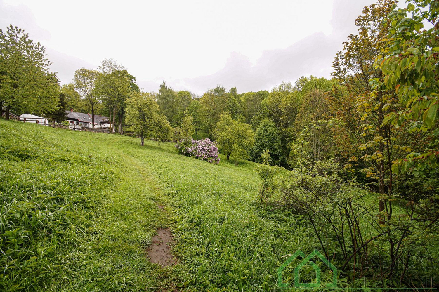 Prodej louky 2 772 m² – fotografie 5