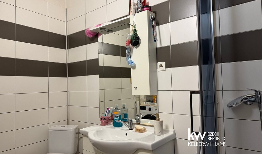 Prodej domu 240 m² s pozemkem 452 m², Bílina – náhled fotky 9