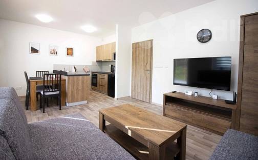 Prodej bytu 2+kk 45 m², Červená Voda - Mlýnický Dvůr, okres Ústí nad Orlicí