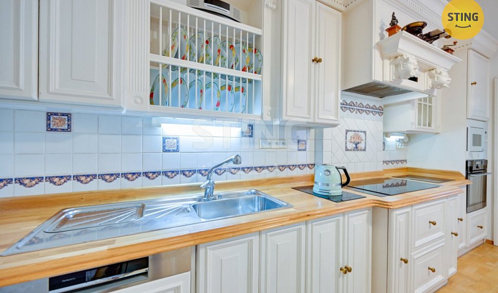 Prodej domu 700 m² s pozemkem 3 228 m², Luže – náhled fotky 8