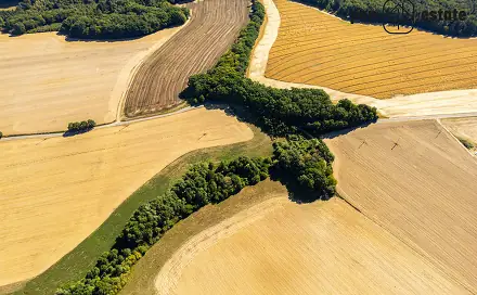Prodej pole 38 057 m², Hvozdná, okres Zlín