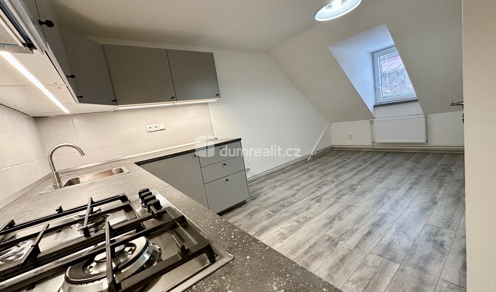 Prodej bytu 2+1 119 m², Karlovy Vary – náhled fotky 3