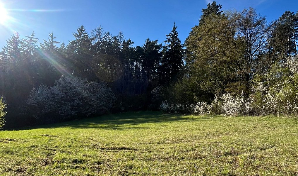 Prodej stavebního pozemku 3 287 m², Blansko – náhled fotky 9
