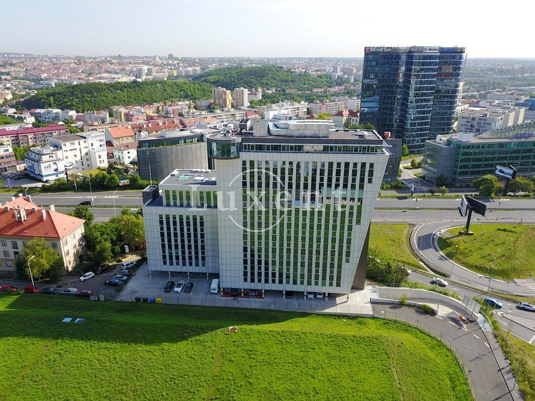 Pronájem kanceláře 490 m² – fotografie 2