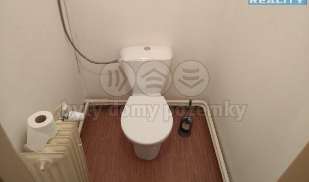Prodej domu 342 m² s pozemkem 2 528 m², Hlízov – náhled fotky 10