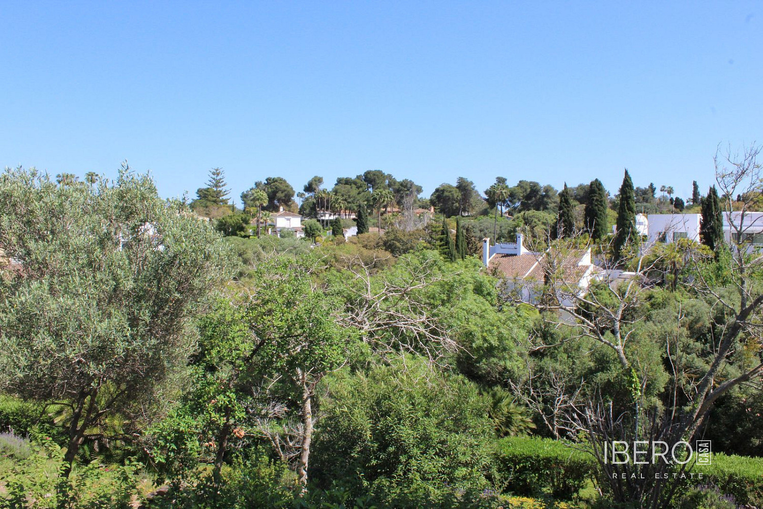 Prodej domu 592 m² s pozemkem 4 274 m² — photo 2