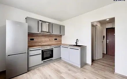 Pronájem bytu 1+1 38 m²