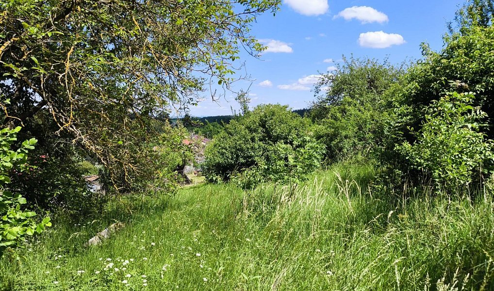 Prodej stavebního pozemku 1 283 m², Senice na Hané – náhled fotky 3