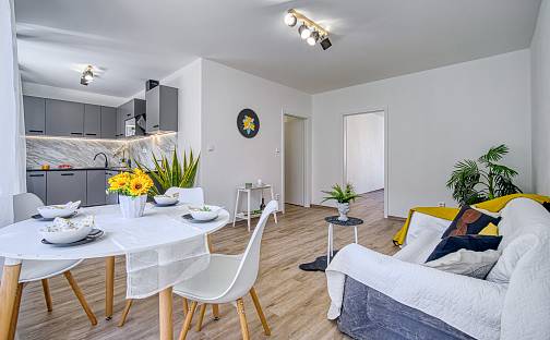 Pronájem bytu 2+kk 54 m², Zdeňka Štěpánka, Most