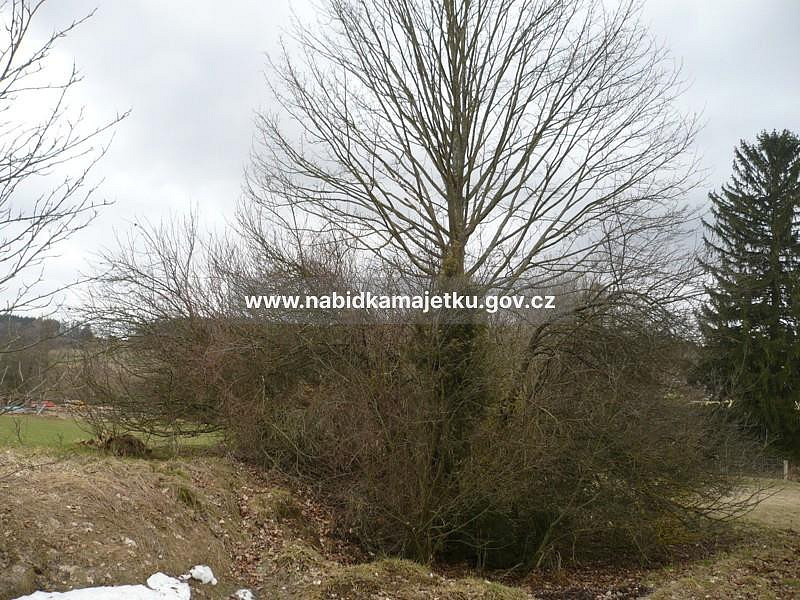 Prodej pozemku 1 070 m² – fotografie 3
