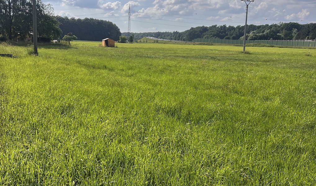 Prodej stavebního pozemku 1 288 m², Dobrá – náhled fotky 5