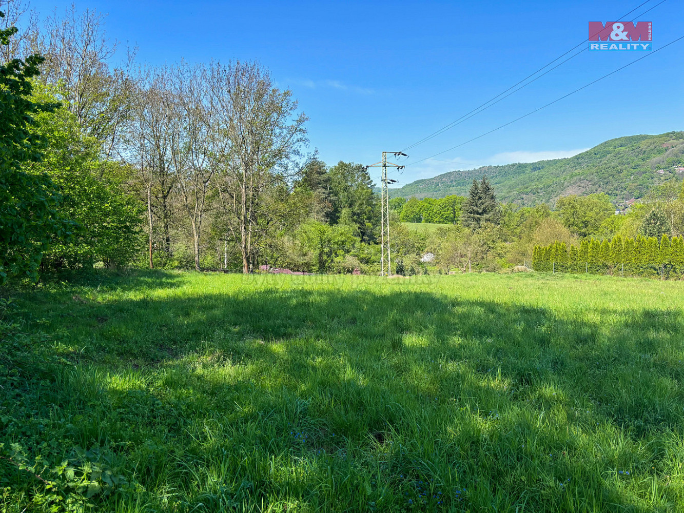 Prodej louky 1 543 m² — photo 3