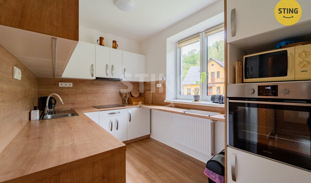 Prodej domu 249 m² s pozemkem 1 245 m², Holčovice – náhled fotky 4