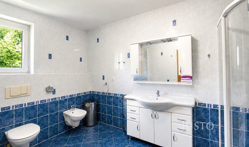 Prodej domu 425 m² s pozemkem 1 449 m², Příbor – náhled fotky 25