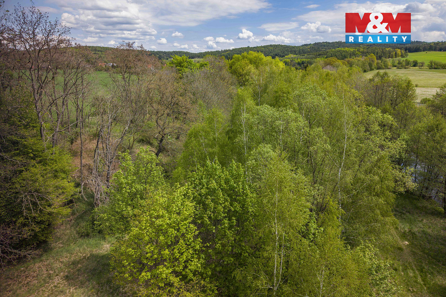 Prodej lesa 909 m² – fotografie 4