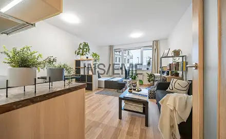 Prodej bytu 1+kk 32 m², Vranovská, Brno - Zábrdovice