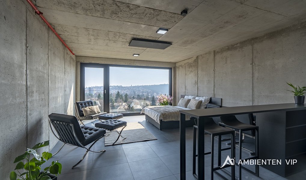 Pronájem bytu 1+kk 38 m², Brno – náhled fotky 4