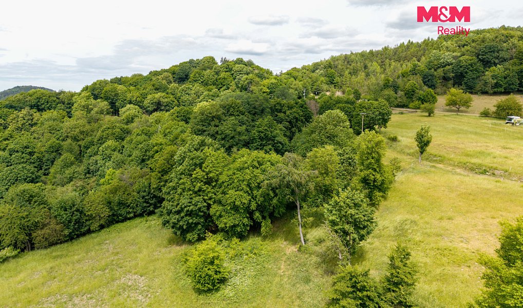 Prodej louky 13 358 m², Nosálov – náhled fotky 4