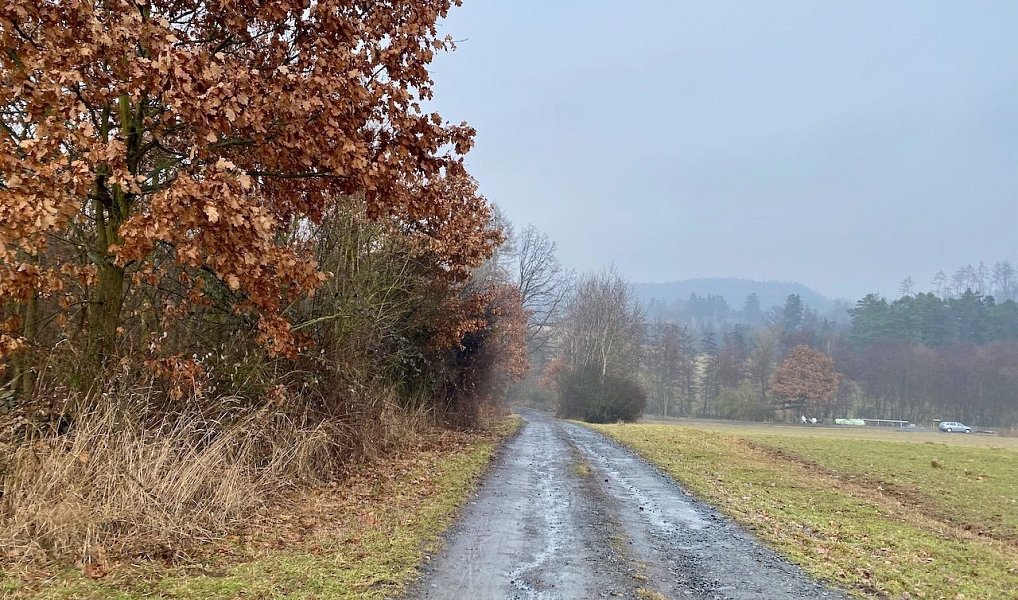 Prodej vodní plochy 8 264 m², Ondřejov – náhled fotky 17
