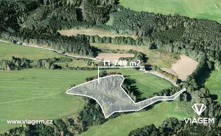 Prodej lesa 11 749 m², Svojšín, okres Tachov