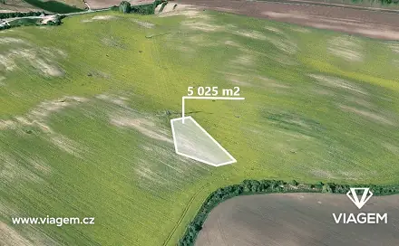 Prodej pole 1 675 m², Čejkovice, okres Hodonín